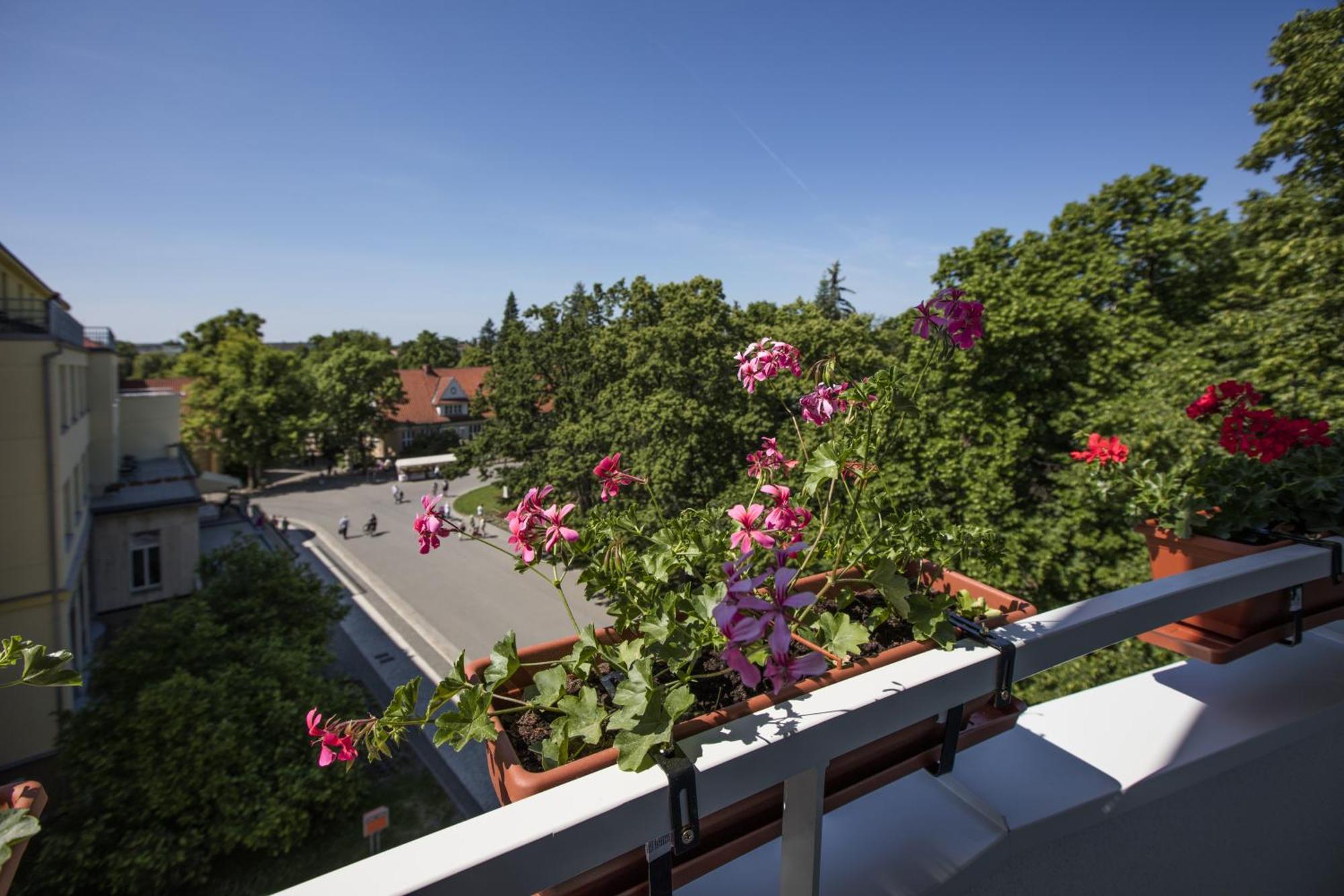Hotel Bellevue Tlapak Подебрады Номер фото